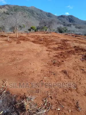 Plot for Sale in Voi, Mwakingali