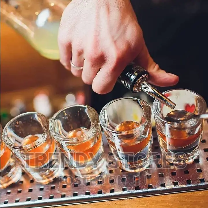 Stainless Steel Liquor/ Bottle Pourer