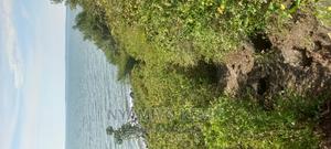 Kombe Beach Front - thumbnail 2