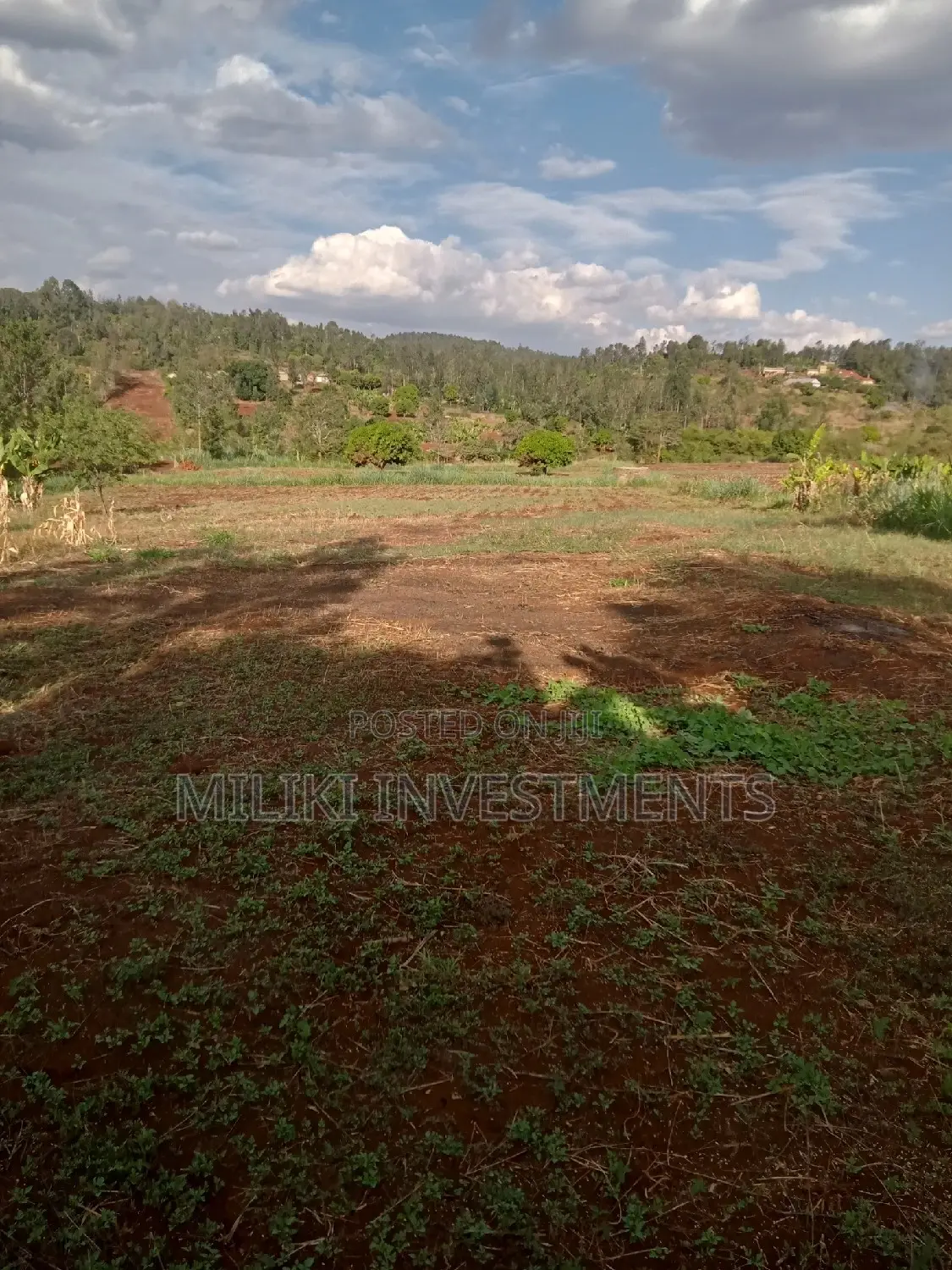 4 Acres on Sale at Summary Maragua.