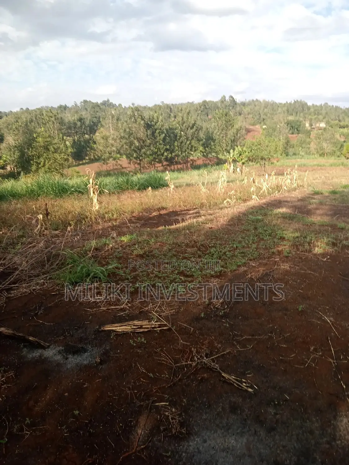 4 Acres on Sale at Summary Maragua.