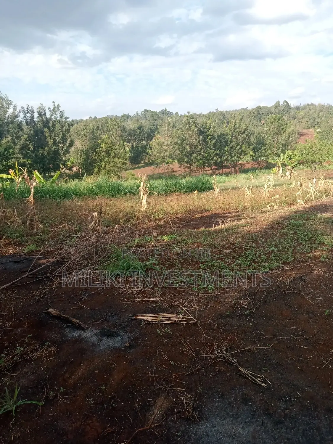 4 Acres on Sale at Summary Maragua.