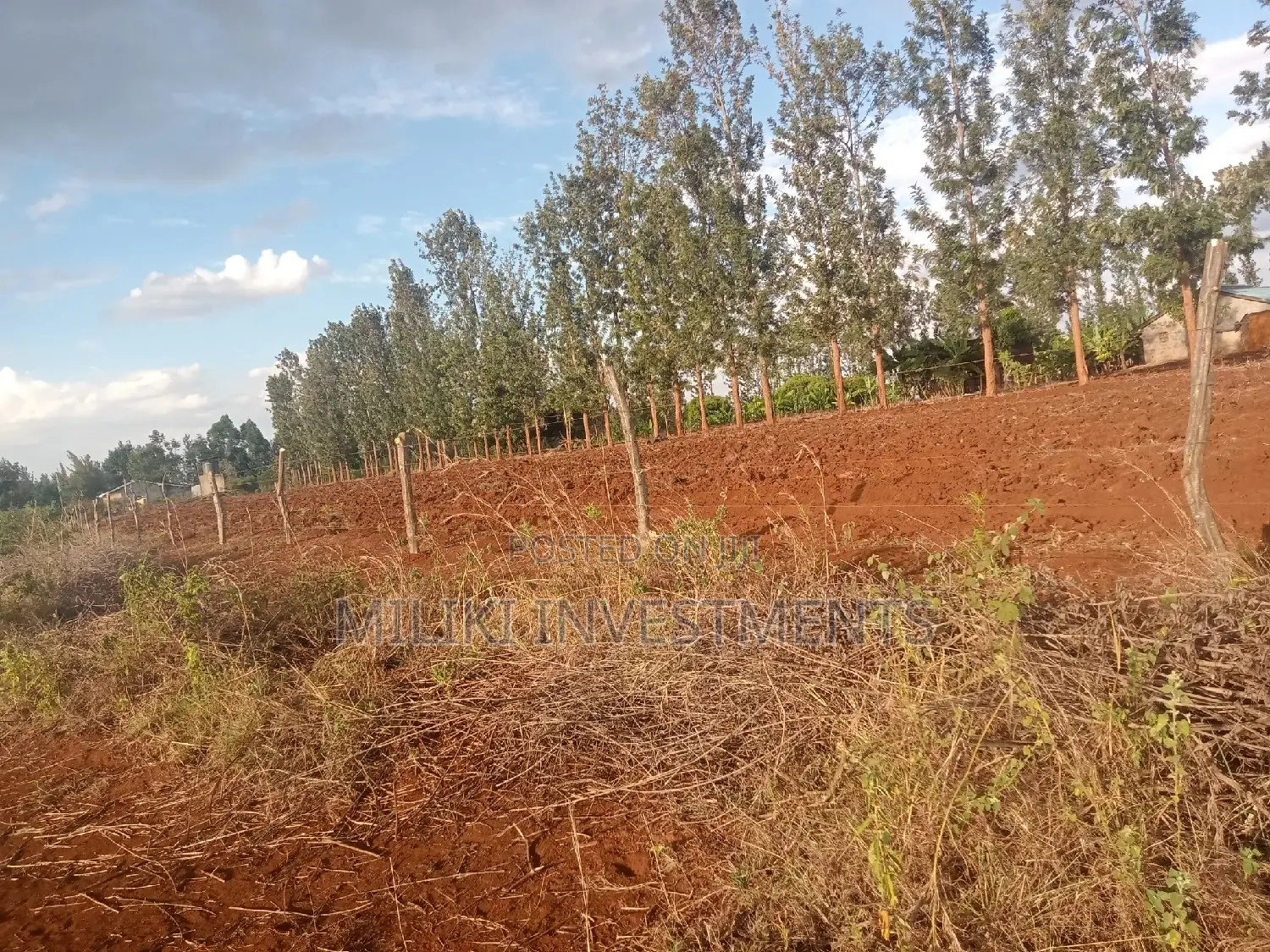 3 Acres of Land on Sale at Summary Maragua Area.