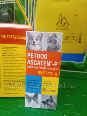 Petdog Ascaten P ,Dewormer - main view