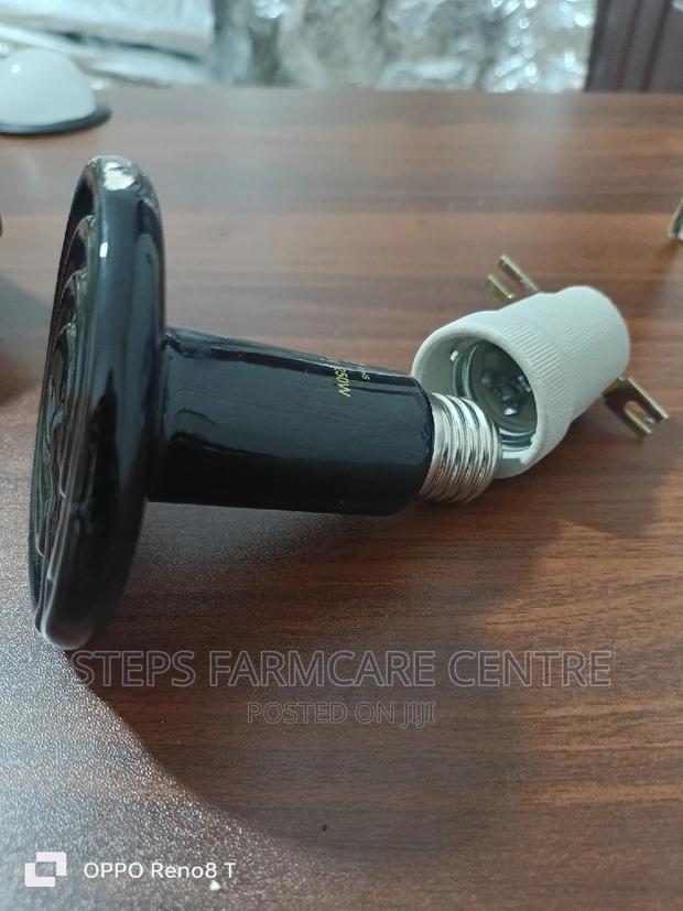 Ceramic Chick Warmers - main view