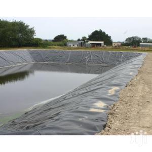 Aquoponics and Greenhouse Farming