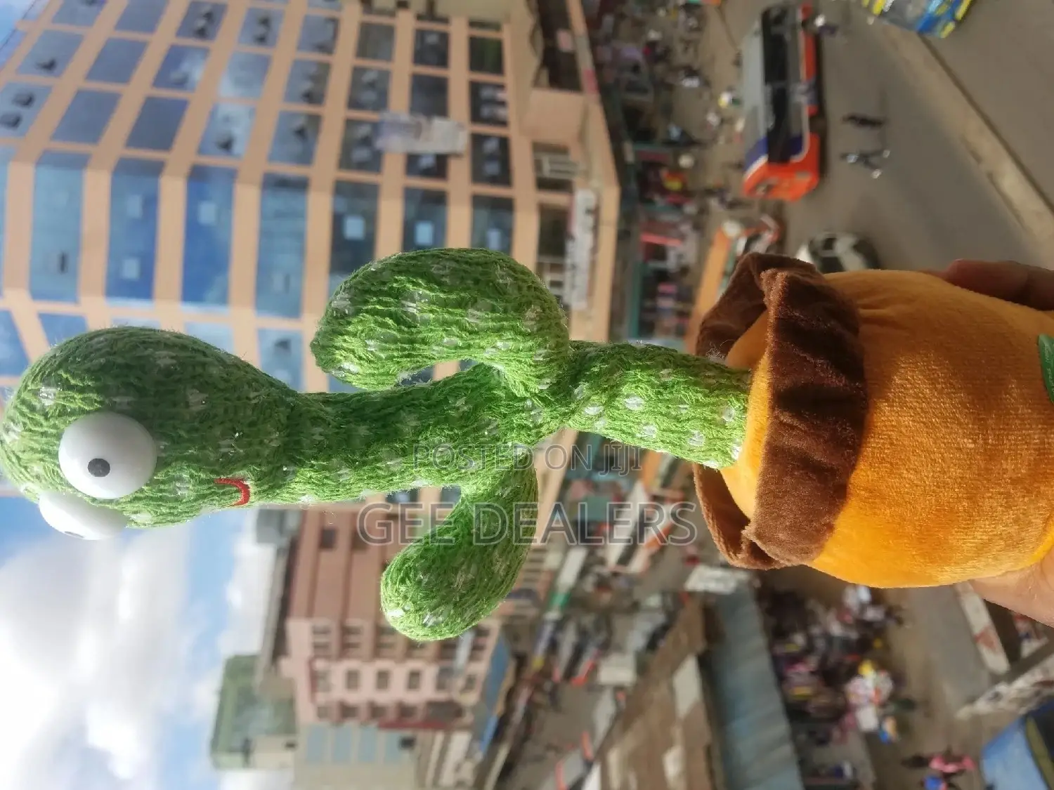 Dancing Cactus