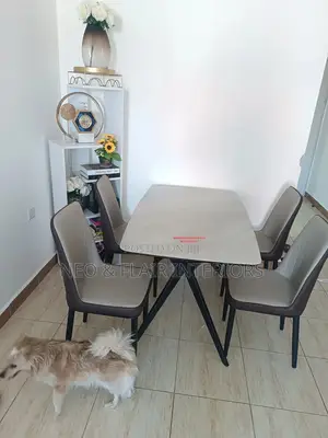 Imported Dinning Table and Seats