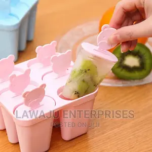 6 Slot Ice Cream Mold Popsicle