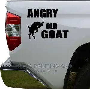 Car Decoration Vinyl Cutting