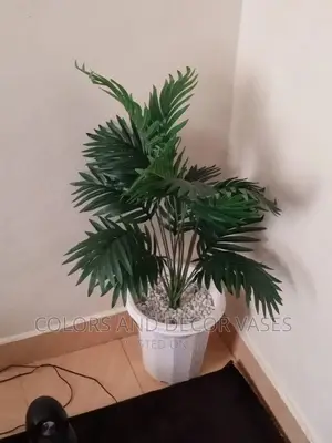 Plant, Vase and Pebble Stones Best Price