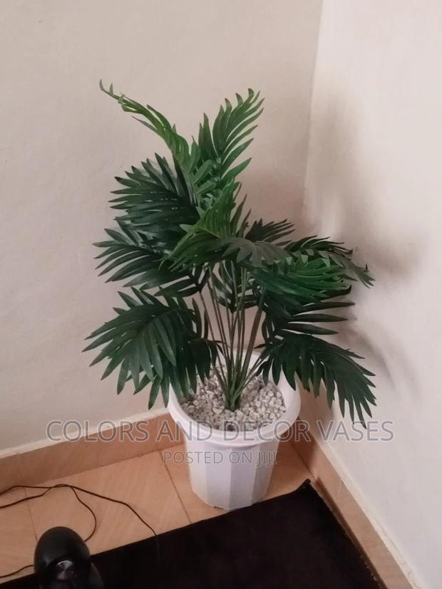 Plant, Vase and Pebble Stones Best Price