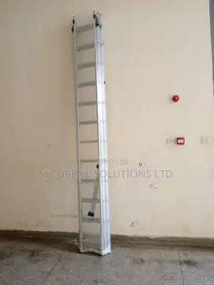 Aluminum Tripple Extension Ladder 3*12/36ft