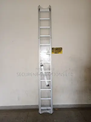 Aluminum Double Extension Ladder 2*12trends /24ft