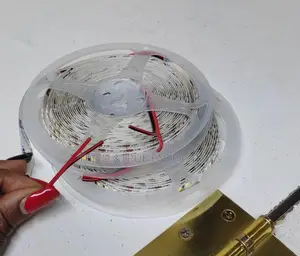 12volts 5mtrs Snakelights