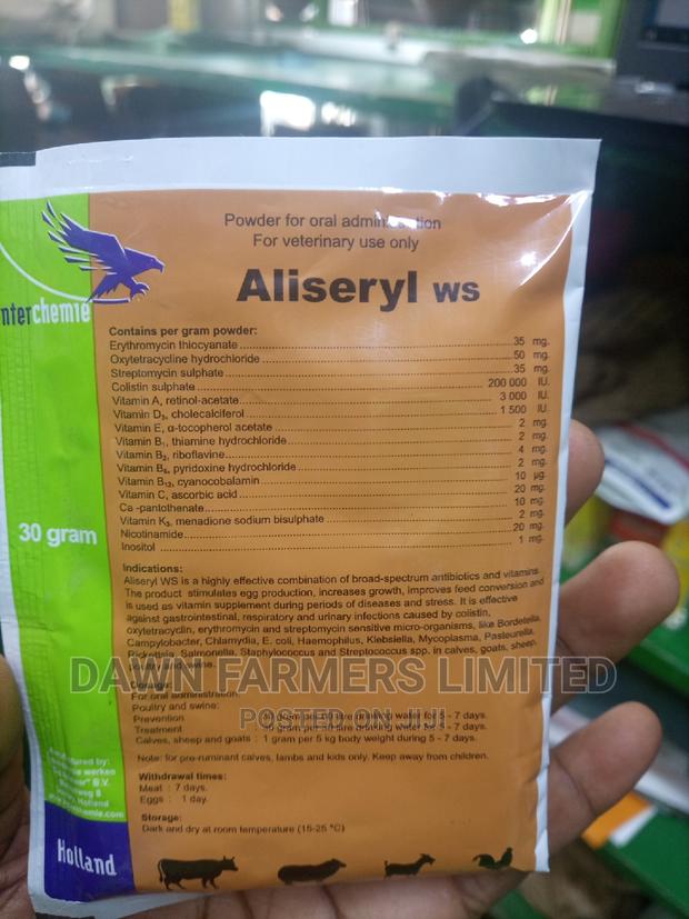 Aliseryl Antibiotics 30gms