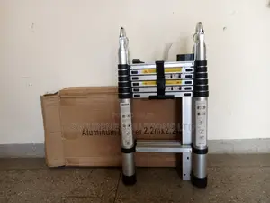 Aluminum Double Telescopic Ladder 2.2m a 4.4m Straight