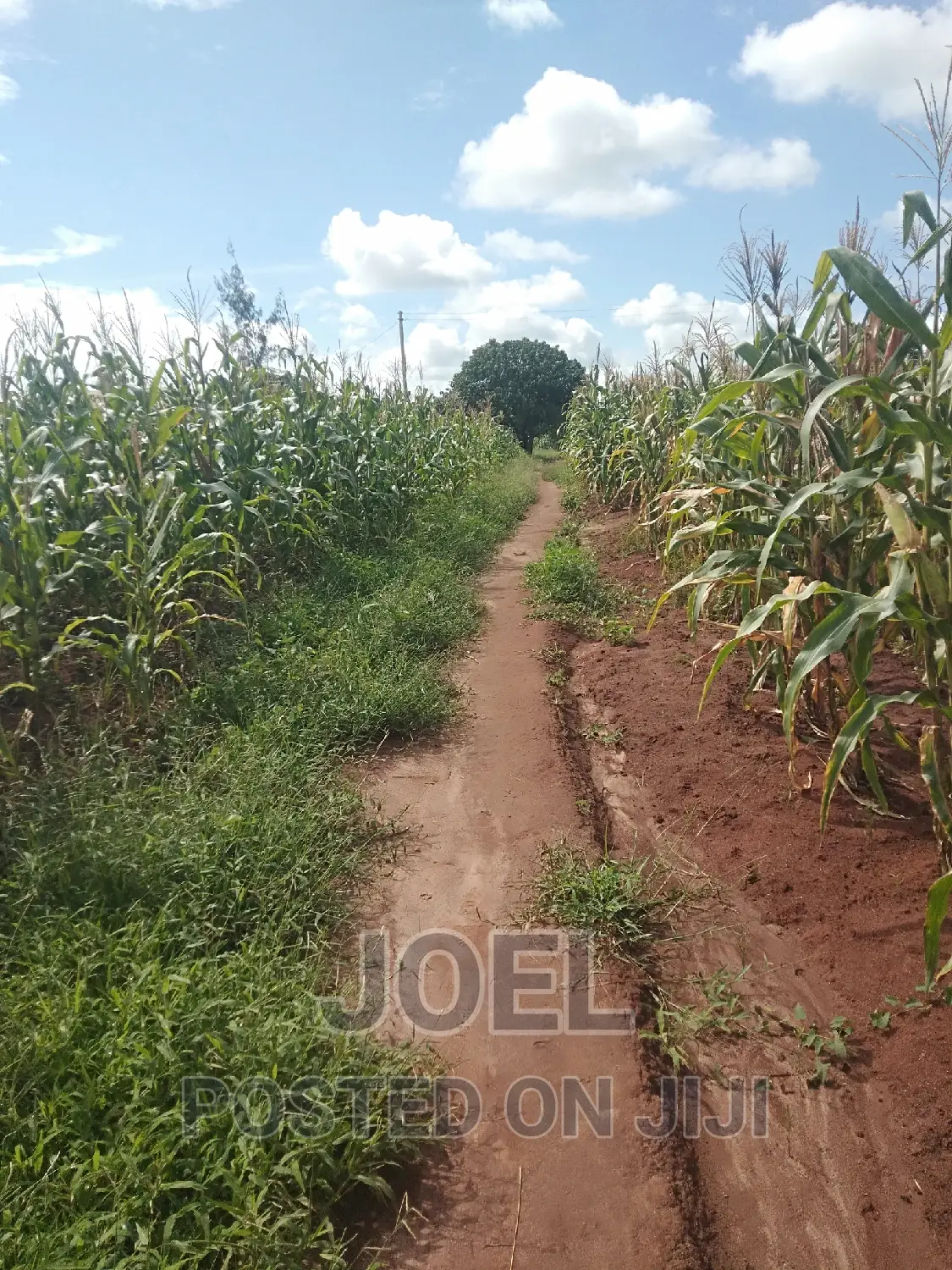 Malindi 100 Acres Ready Title Deed