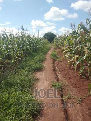 Malindi 100 Acres Ready Title Deed - main view
