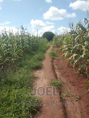 Malindi 100 Acres Ready Title Deed