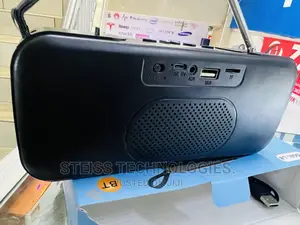 Fm Radio Mini Speaker.