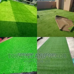 Grass Carpet Grass Carpet Grass Carpet Grass Carpet