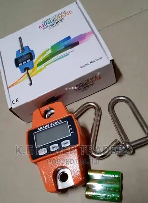 Guaranteed Superior Quality 300kg Crane Scale