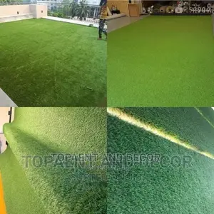 Artificial Grass Carpet Artificial Grass Carpet