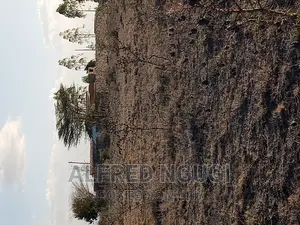 Mwalimu Farm Ruiru
