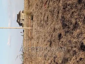 Mwalimu Farm Ruiru