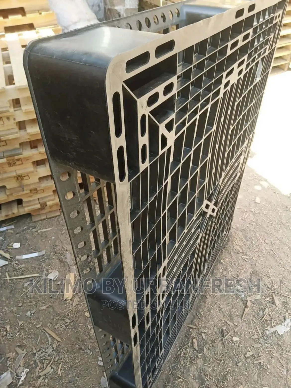 Plastic Pallets Available
