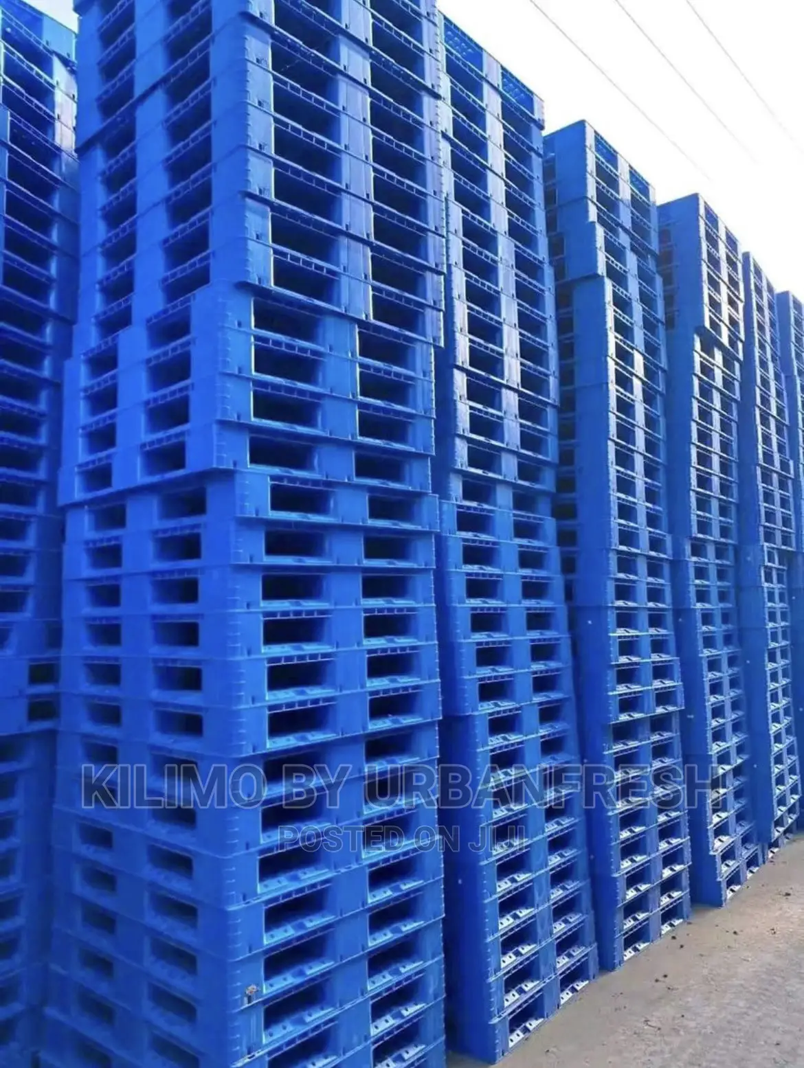 Plastic Pallets Available