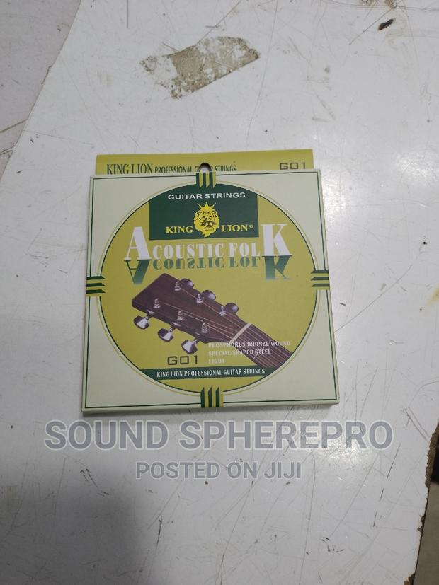 Lion King Accoustic Guitar Strings Set