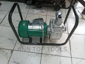 2 Inch 1.5 Hp Shiyuan Surface Pump