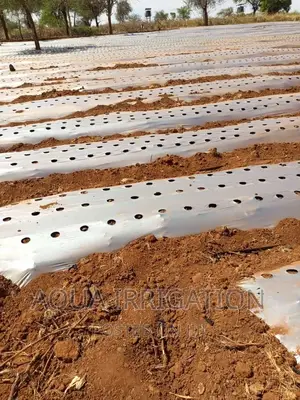 Mulch Paper/ Film