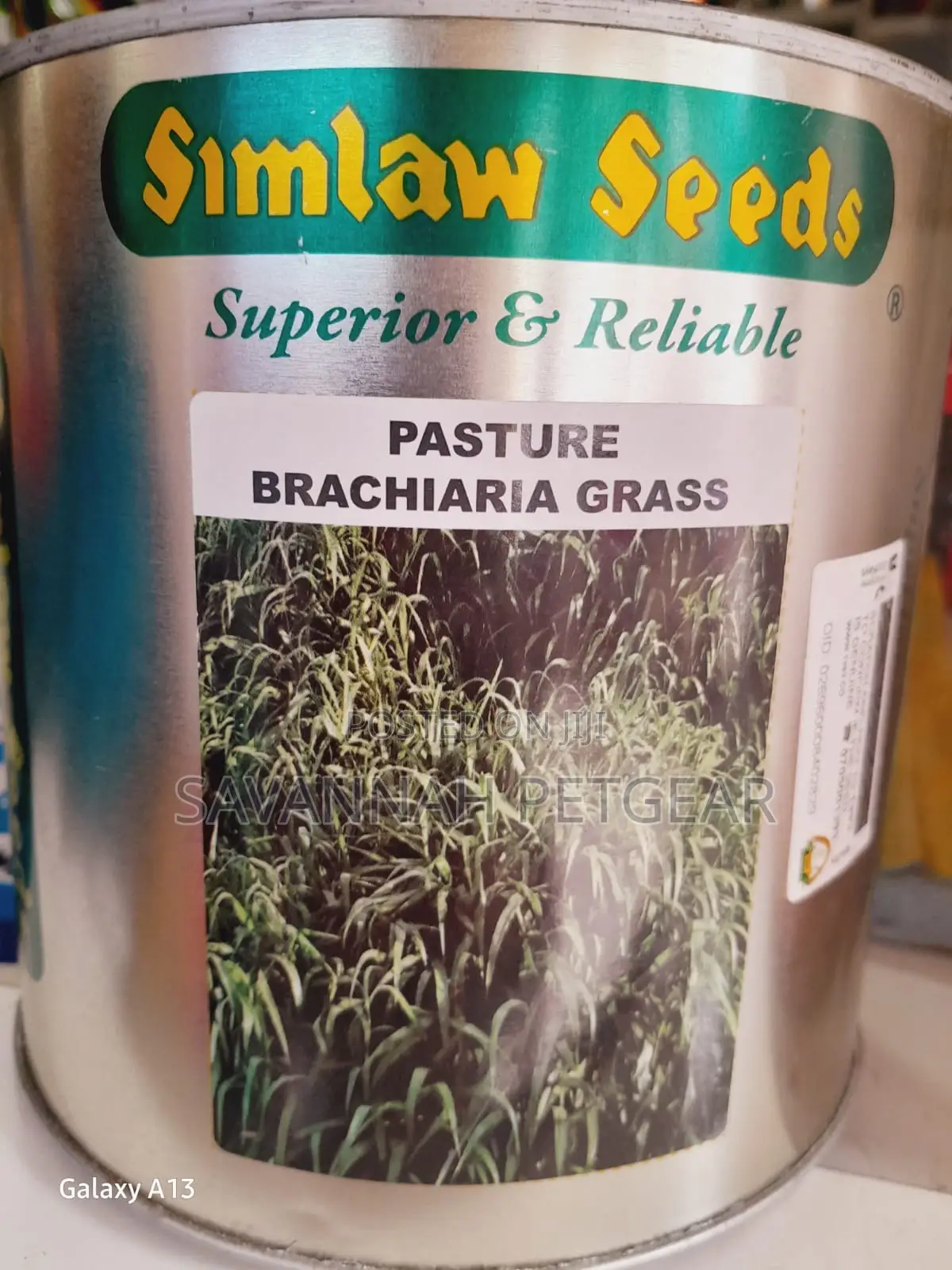 Brachiaria Mullato Hybrid Grass Seeds Pasture in 1kg Pack