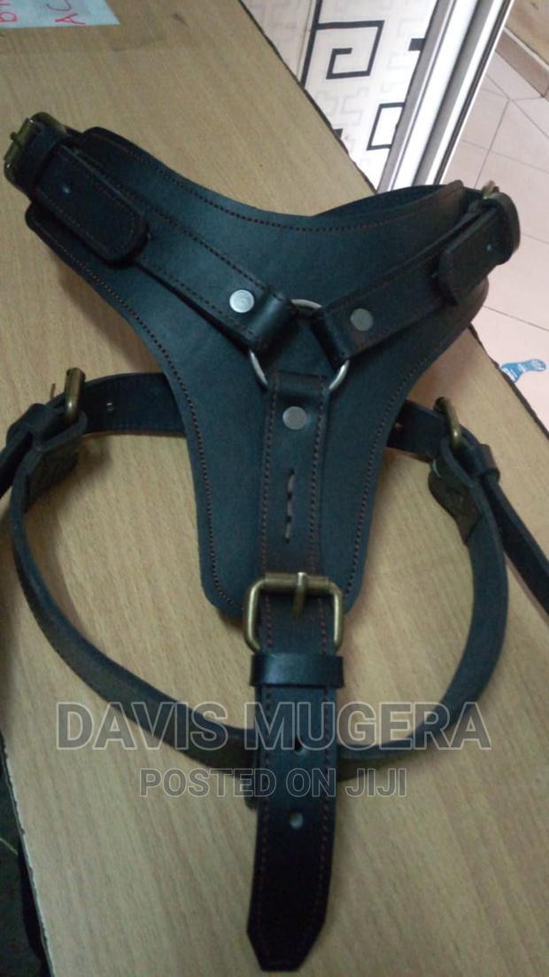Spiked and Non-Spiked Heavy Duty Genuine Leather Dog Harness - main view