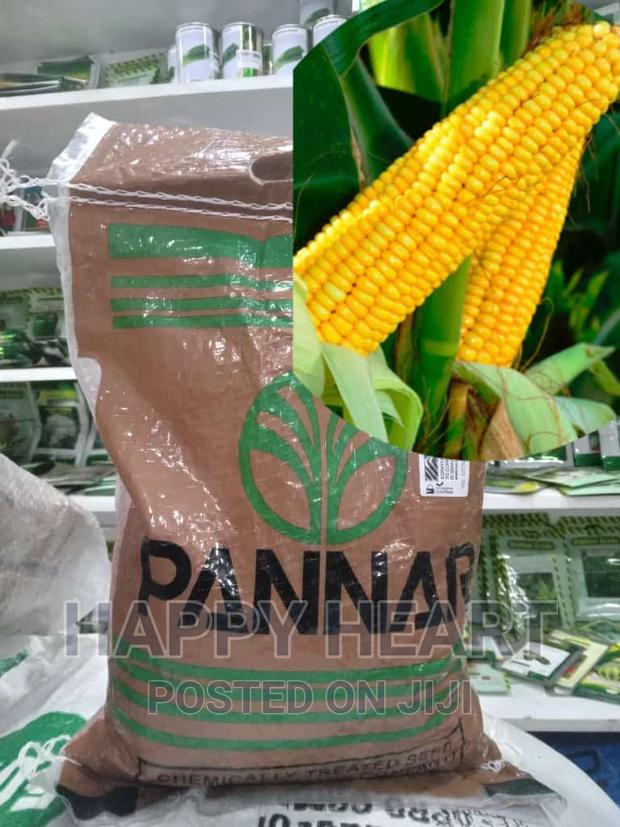 Yellow Maize Pan 14 2kg - main view