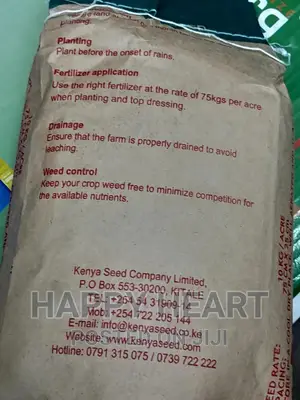 Dh 04 Hybrid Maize 2kg