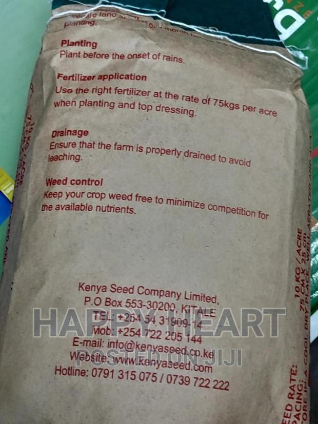 Dh 04 Hybrid Maize 2kg - thumbnail 3