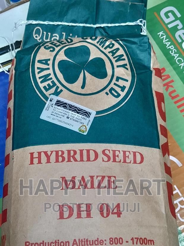 Dh 04 Hybrid Maize 2kg - thumbnail 4