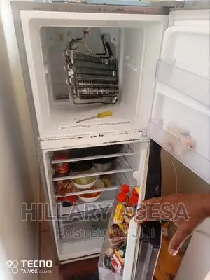 Fridge Non Frost Servicing
