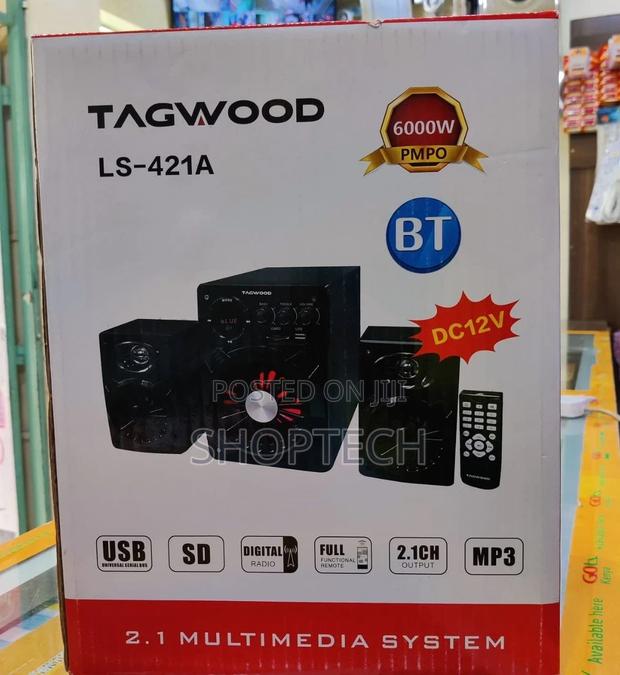 Tagwood 421A Multimedia System