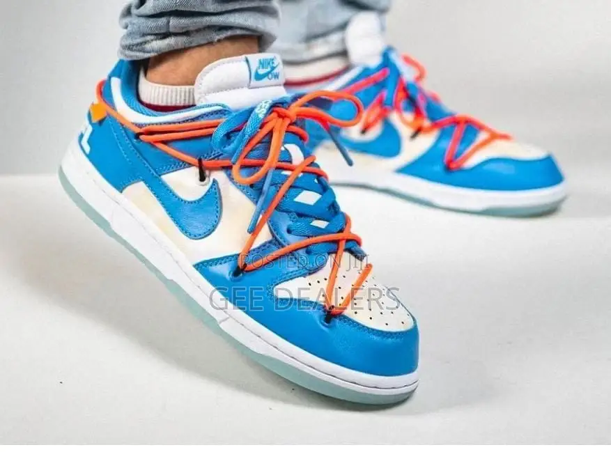 Nike SB Dunk Sneakers