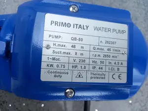 Primo Italy Water Pump of High Quality