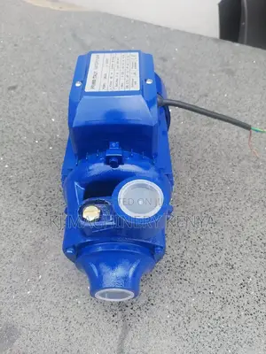 Electric Booster Pumps 1hp Water Pump-Outlet/Inlet 1 Inch
