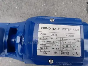 Electric Booster Pumps 1hp Water Pump-Outlet/Inlet 1 Inch