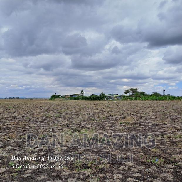 2 Acres for Sale Birika Ostrich Farm - thumbnail 2