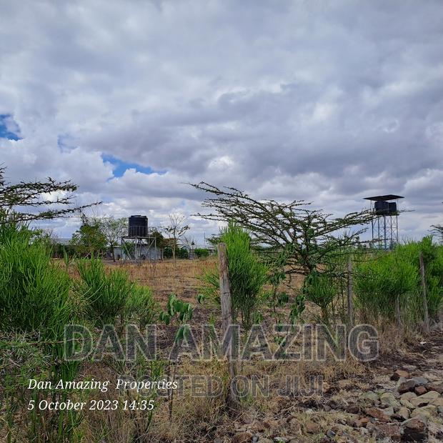 2 Acres for Sale Birika Ostrich Farm - thumbnail 3