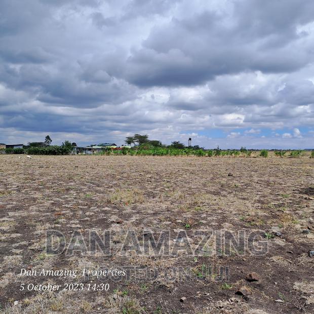 2 Acres for Sale Birika Ostrich Farm - thumbnail 4